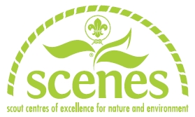 logo scenes